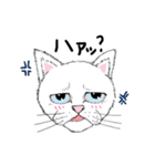 黙っていればわりかし美形の白猫です。（個別スタンプ：27）