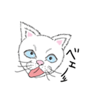 黙っていればわりかし美形の白猫です。（個別スタンプ：28）