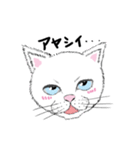黙っていればわりかし美形の白猫です。（個別スタンプ：30）