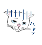 黙っていればわりかし美形の白猫です。（個別スタンプ：34）