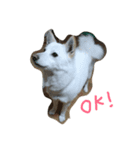 クランぽんだよ（個別スタンプ：2）