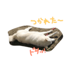 クランぽんだよ（個別スタンプ：4）