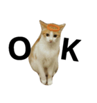 Be my cat（個別スタンプ：15）