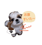 からあげ君 シーズー1（個別スタンプ：4）