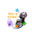 からあげ君 シーズー1（個別スタンプ：9）