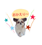 からあげ君 シーズー1（個別スタンプ：11）