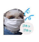 からあげ君 シーズー1（個別スタンプ：14）