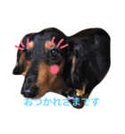 うちのももちゃん1（個別スタンプ：16）