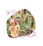 chicchis2（個別スタンプ：6）