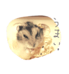 chicchis2（個別スタンプ：7）