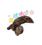 黒猫ゆきちの毎日（個別スタンプ：2）