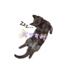 黒猫ゆきちの毎日（個別スタンプ：3）