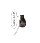 黒猫ゆきちの毎日（個別スタンプ：5）