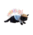 黒猫ゆきちの毎日（個別スタンプ：7）