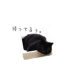 黒猫ゆきちの毎日（個別スタンプ：8）
