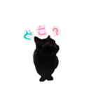 黒猫ゆきちの毎日（個別スタンプ：10）