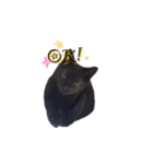 黒猫ゆきちの毎日（個別スタンプ：12）