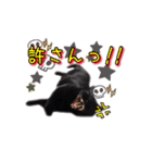 黒猫ゆきちの毎日（個別スタンプ：14）