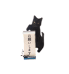 黒猫ゆきちの毎日（個別スタンプ：16）