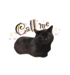 黒猫ゆきちの毎日（個別スタンプ：17）