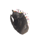黒猫ゆきちの毎日（個別スタンプ：18）