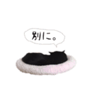 黒猫ゆきちの毎日（個別スタンプ：20）