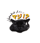 黒猫ゆきちの毎日（個別スタンプ：21）