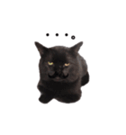 黒猫ゆきちの毎日（個別スタンプ：23）