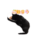 黒猫ゆきちの毎日（個別スタンプ：32）