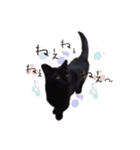 黒猫ゆきちの毎日（個別スタンプ：36）