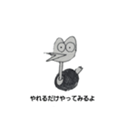 たかおバード（個別スタンプ：13）