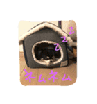 RKN1（個別スタンプ：2）