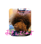 RKN1（個別スタンプ：3）