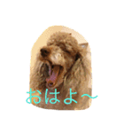 RKN1（個別スタンプ：5）