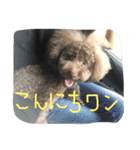 RKN1（個別スタンプ：8）