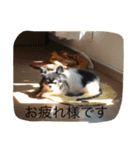 RKN1（個別スタンプ：9）