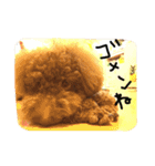 RKN1（個別スタンプ：12）