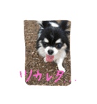RKN1（個別スタンプ：13）