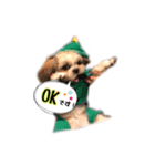 てってけシーズー☆エメちゃん（個別スタンプ：1）