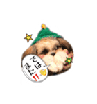 てってけシーズー☆エメちゃん（個別スタンプ：14）
