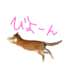 わかたけるパート2（個別スタンプ：2）