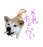 わかたけるパート2（個別スタンプ：4）