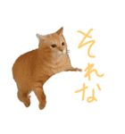 わかたけるパート2（個別スタンプ：5）