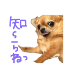わかたけるパート2（個別スタンプ：7）