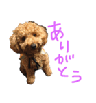 わかたけるパート2（個別スタンプ：10）