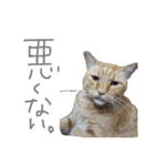 わかたけるパート2（個別スタンプ：11）