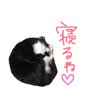 わかたけるパート2（個別スタンプ：12）