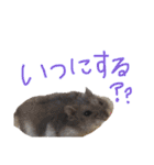 わかたけるパート2（個別スタンプ：13）