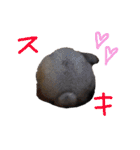 わかたけるパート2（個別スタンプ：15）