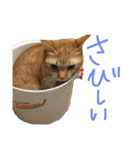わかたけるパート2（個別スタンプ：17）